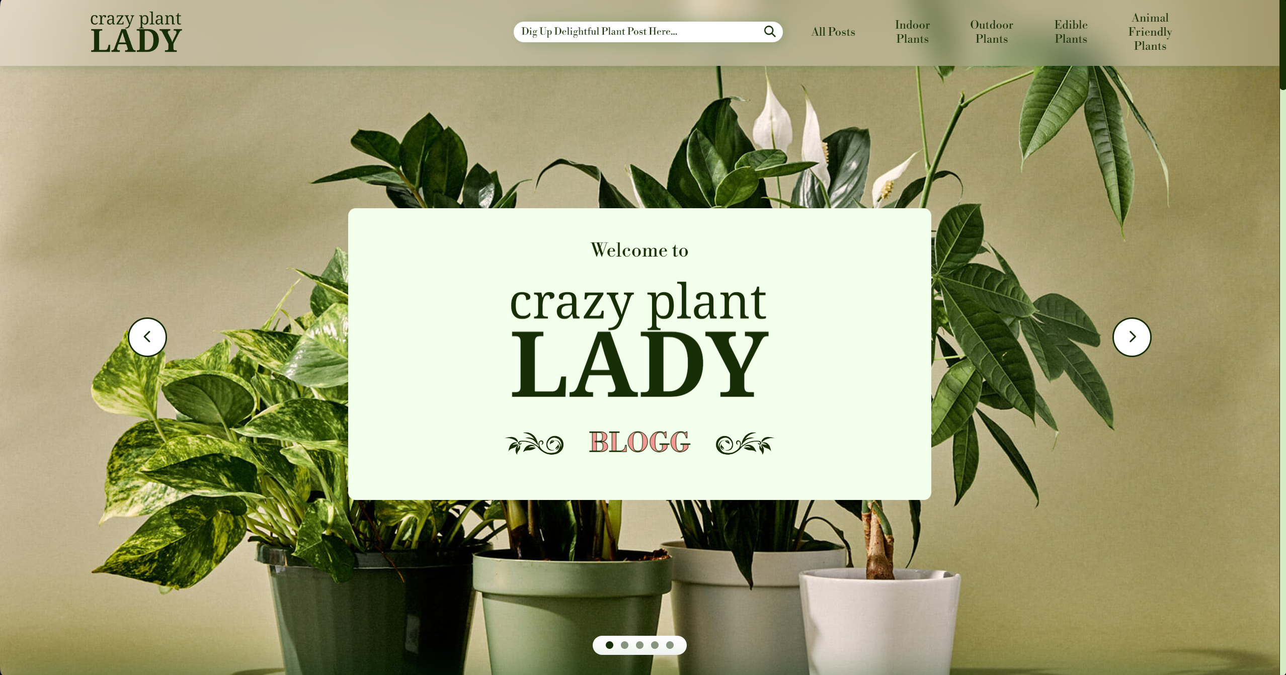 A Screenshot of the PC version of a website called 'Crazy Plant Lady', featuring a banner with various potted plants and a central welcome message to the blog. Navigation links and a search bar are at the top.