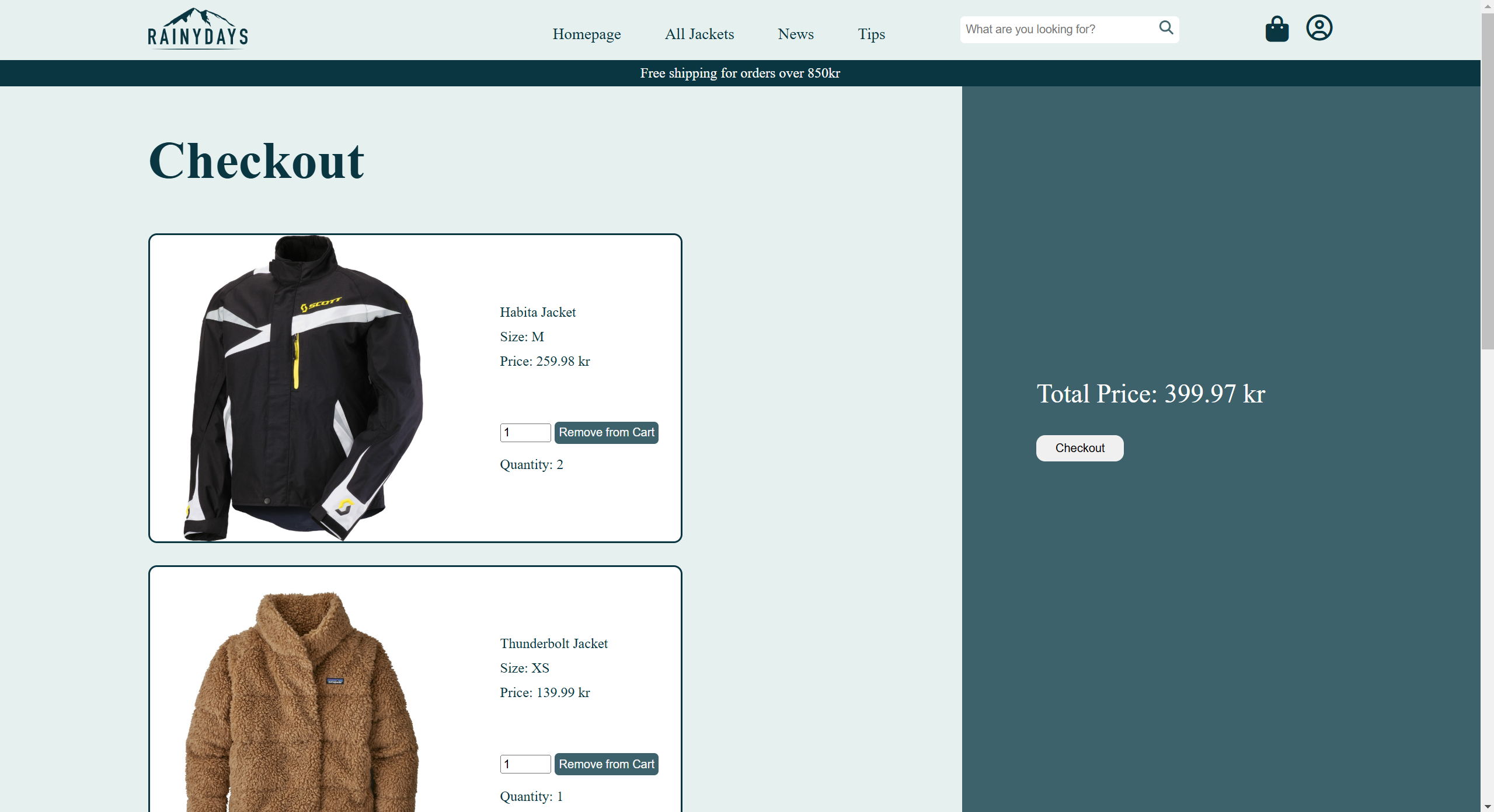 An image of the Rainy Days shopping cart page, the basket items on the left and the checkout on the right.